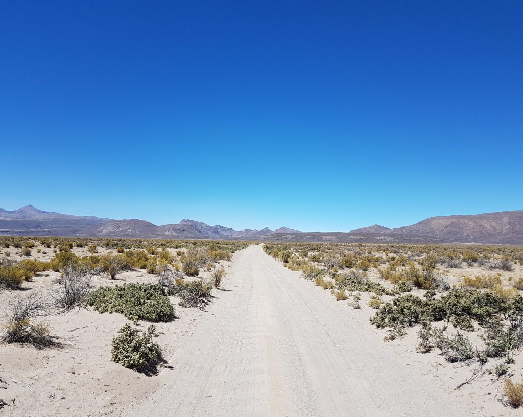 Day 2 - The little used dirt road leading to Salinas de Garcia. I didn't see a single vehicle during my hourse 