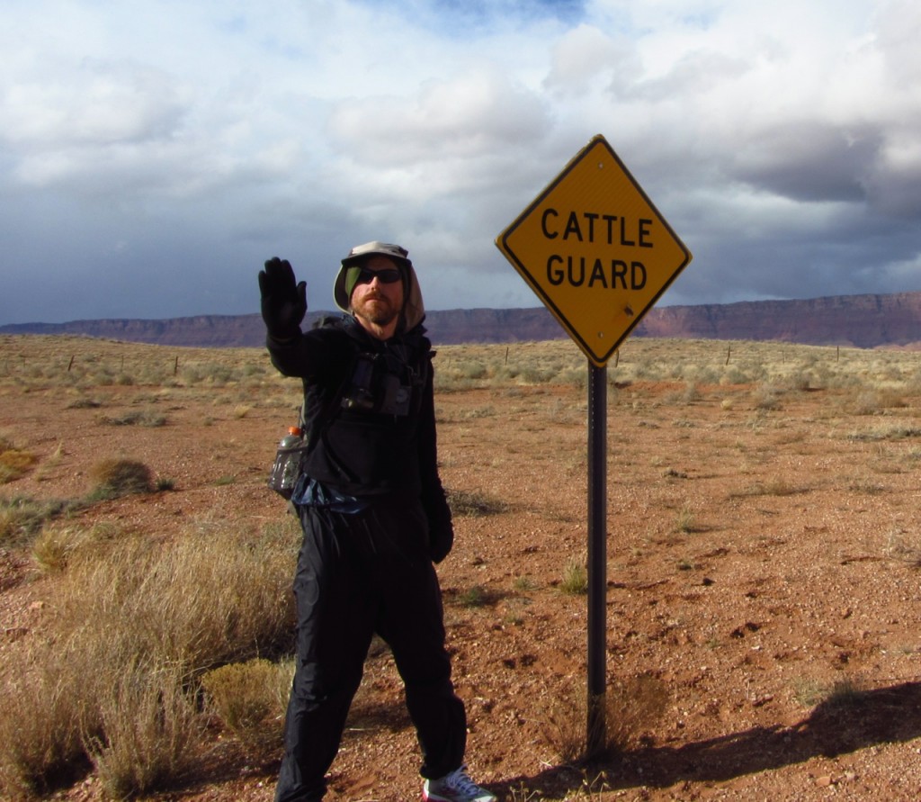 Bovine Protector, AZ, USA, 2012